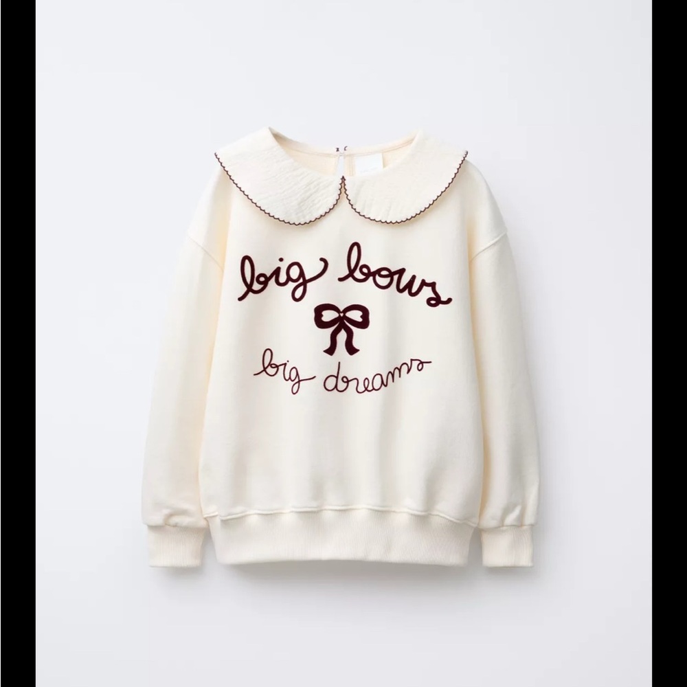 Zara Collar Sweatshirt with Red Embroidery